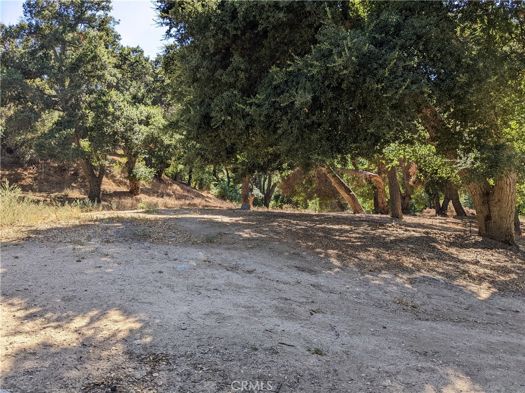 0 San Francisquito Cyn Road, Green Valley, CA 91350 — photo 1