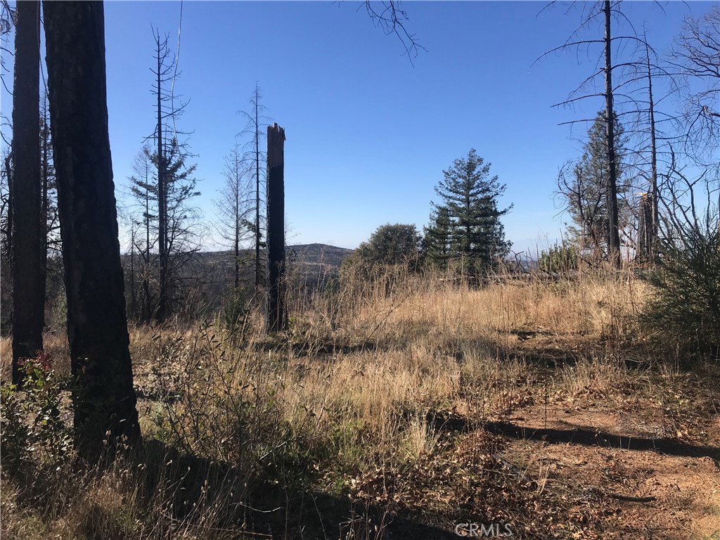 0 buchner, Feather Falls, CA 95916 — photo 1