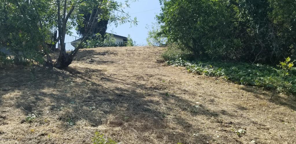 Lavell Drive, Los Angeles, CA 90065 — photo 1