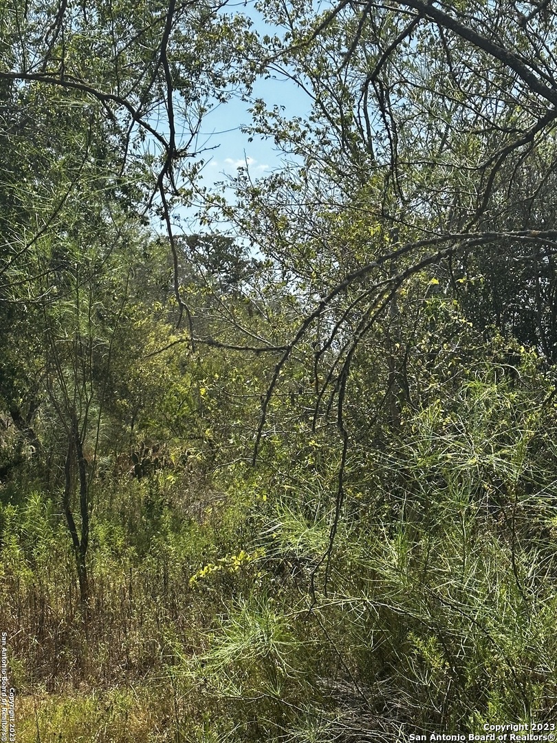 5958 Cr 405, Floresville, TX 78114 — photo 1