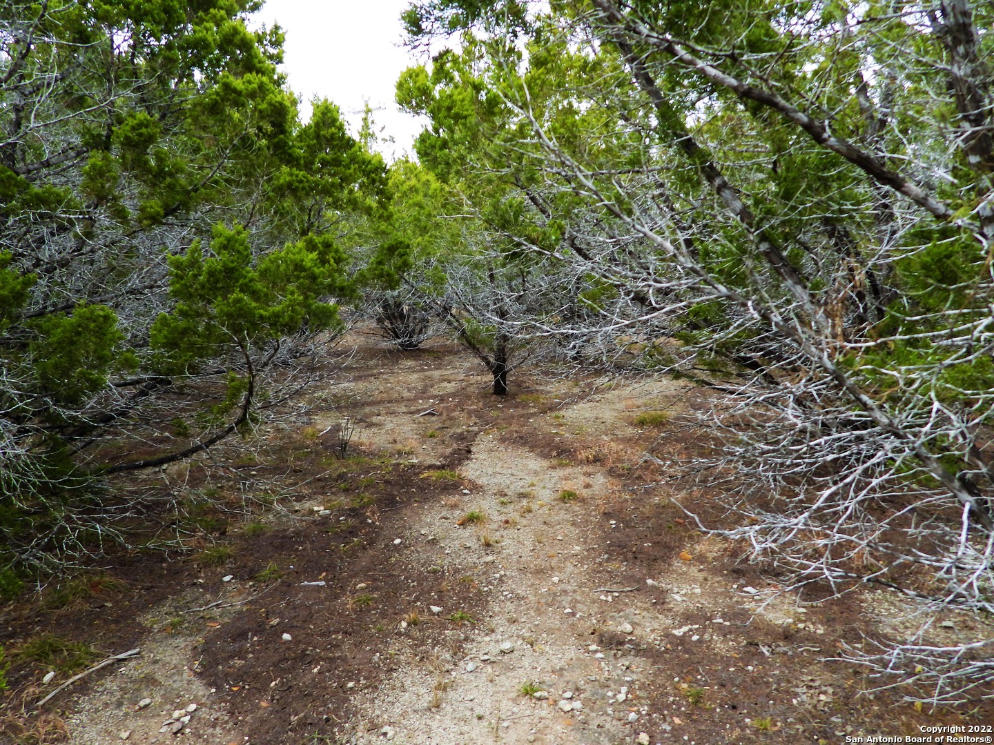 LOT 73 Scenic Crest