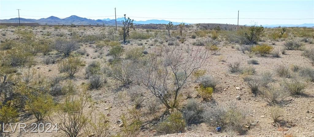 004 Encinitas, Searchlight, NV 89046 — photo 1