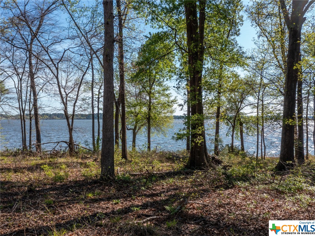 3108 Shadow Pine Drive, LaRue, Other, TX 75770 — photo 1