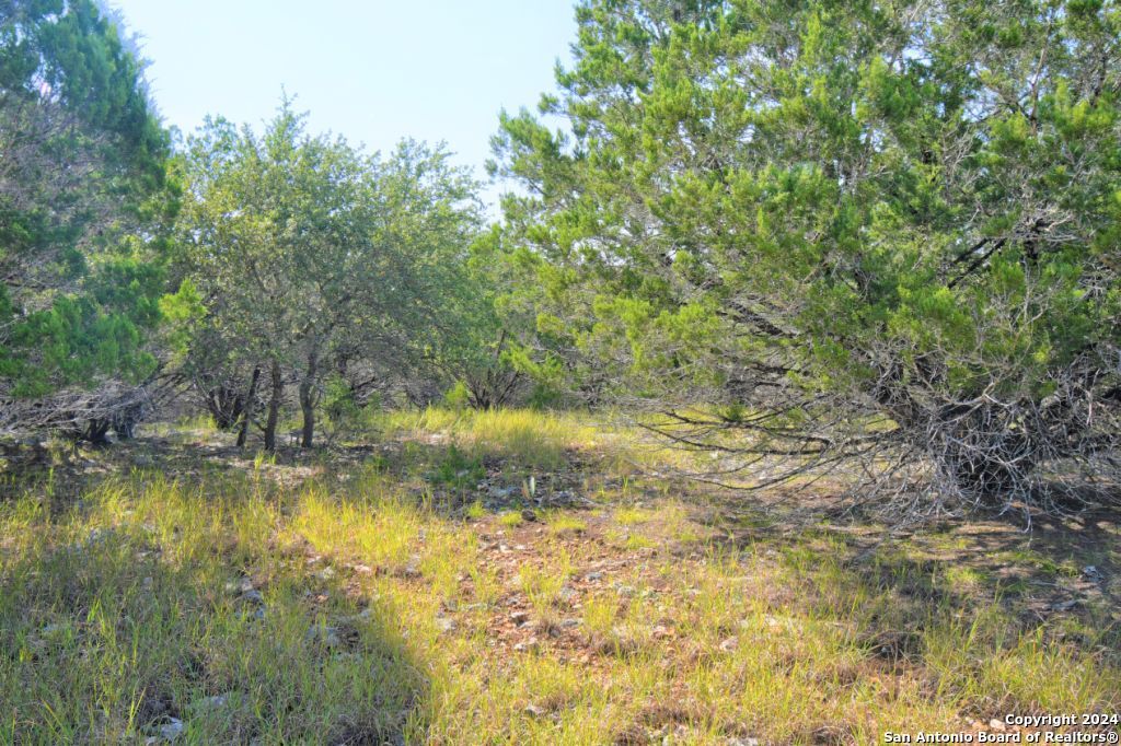 278 Canyon Drive, Bandera, TX 78003 — photo 1