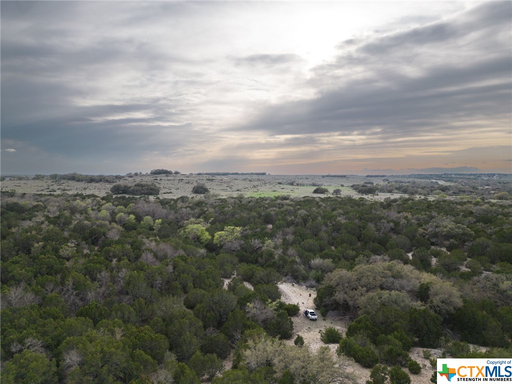 50.44 Acres County Road 3100, Kempner, TX 76539 — photo 1