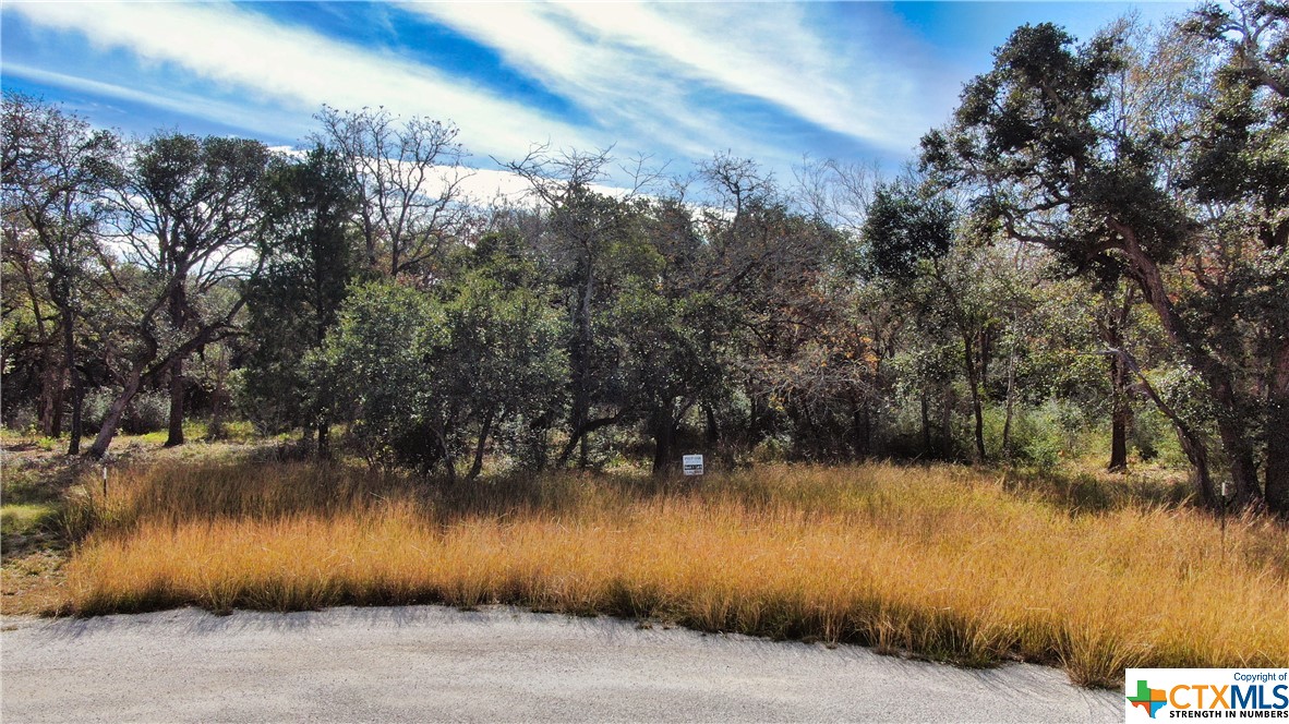 201 Post Oak Road, Inez, TX 77968 — photo 1