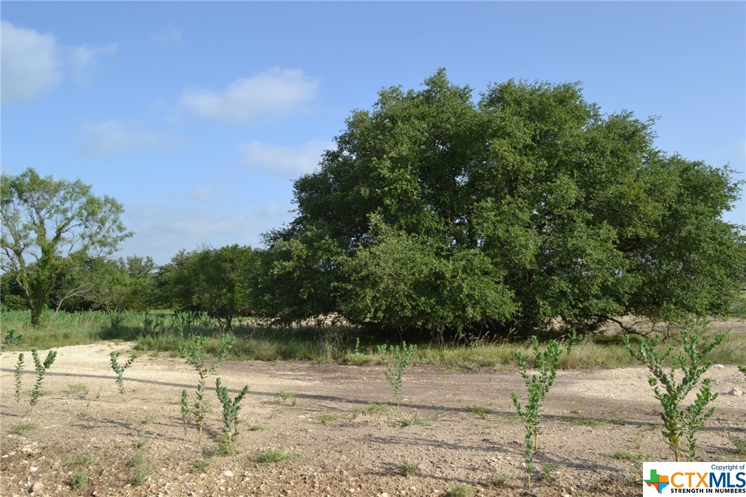 Block 2, Lot 1 and Lot 2 CR 3152, Kempner, TX 76539 — photo 1