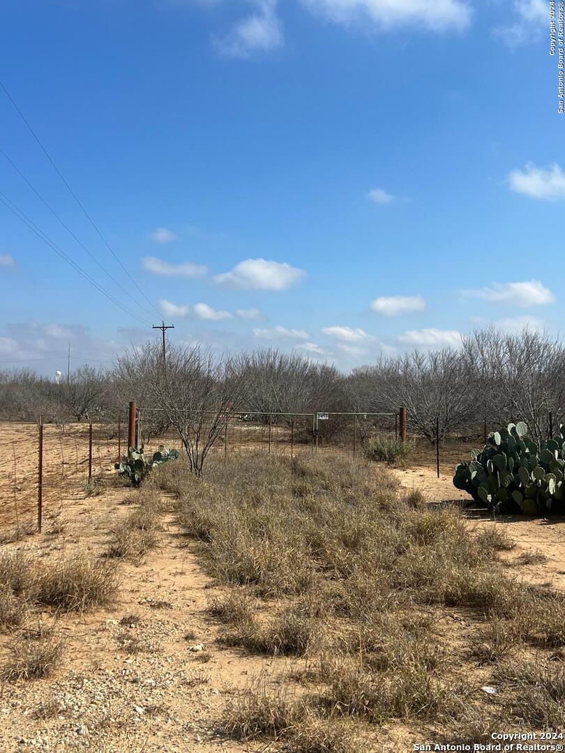 2453 FM 1917, Carrizo Springs, TX 78834 — photo 1