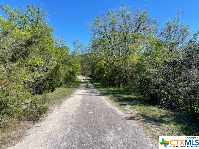 TBD Overland Trail, Lago Vista, TX 78645 — photo 1