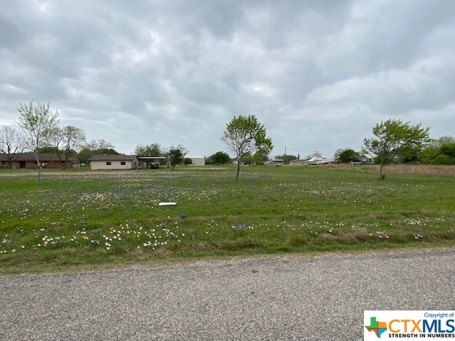 Unkn W Denver Avenue, Seadrift, TX 77983 — photo 1