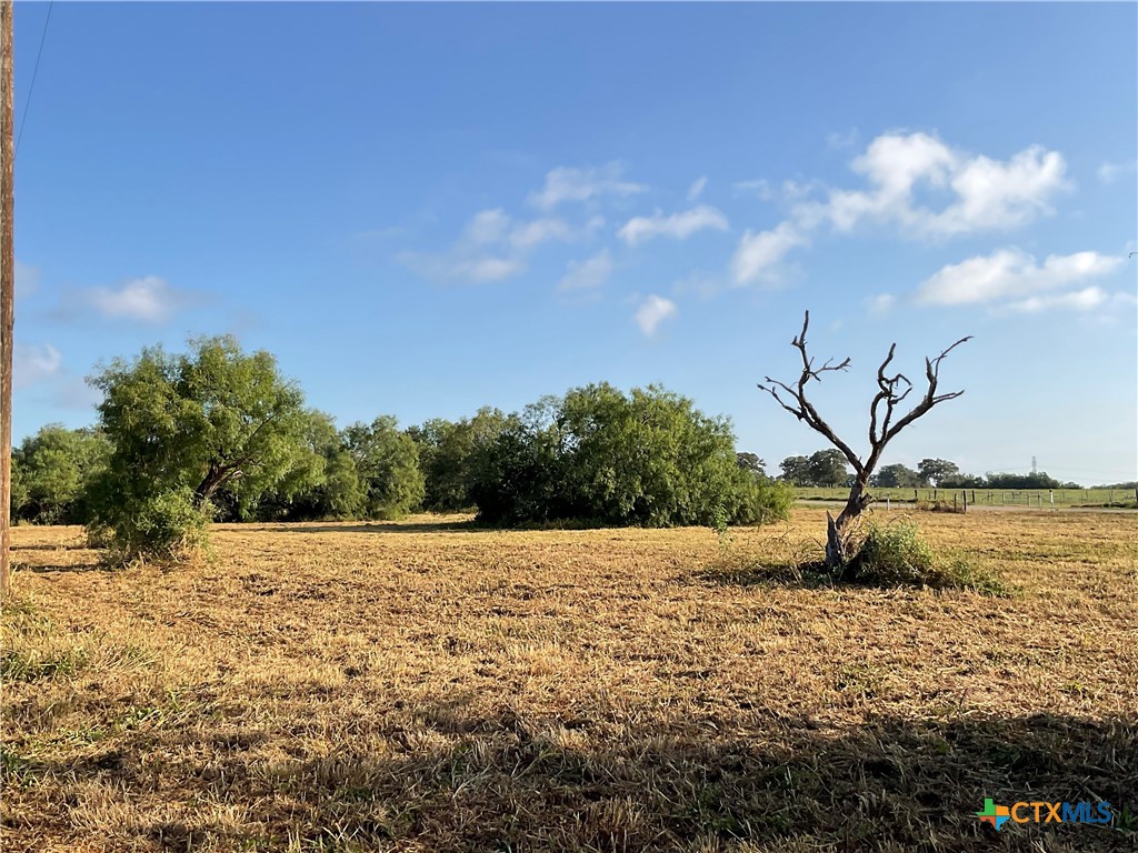 1932 Old Goliad Road, Cuero, TX 77954 — photo 1