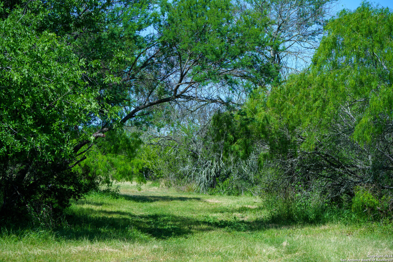 48.25 ACRES County Road 114, George West, TX 78466 — photo 1
