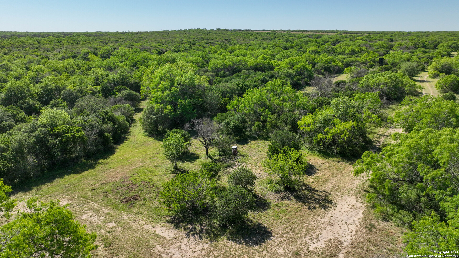 48.25 ACRES County Road 114, George West, TX 78466 — photo 1