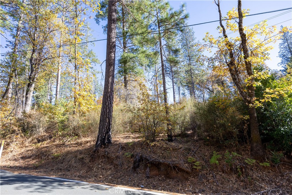 10981 Gifford Springs Road, Cobb, CA 95426 — photo 1