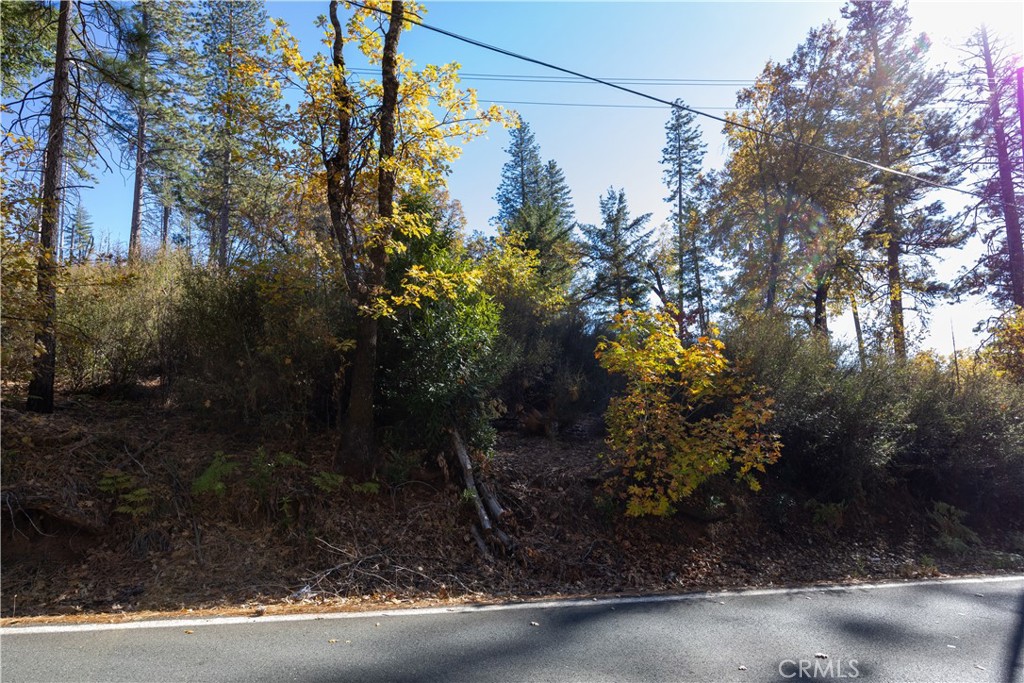10971 Gifford Springs Road, Cobb, CA 95426 — photo 1