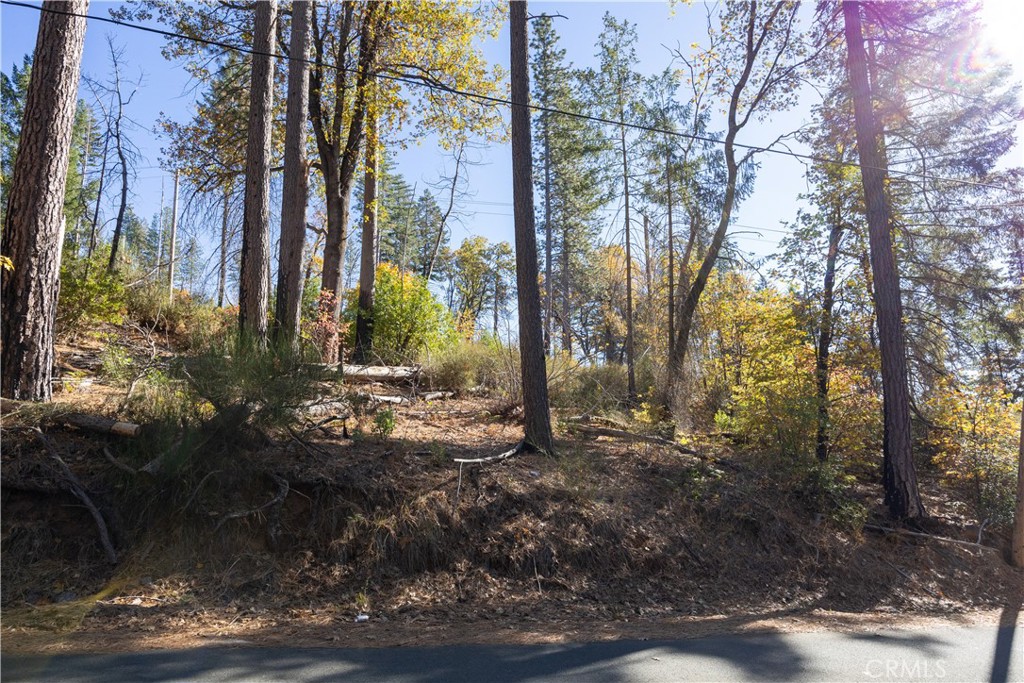 10991 Gifford Springs Road, Cobb, CA 95426 — photo 1