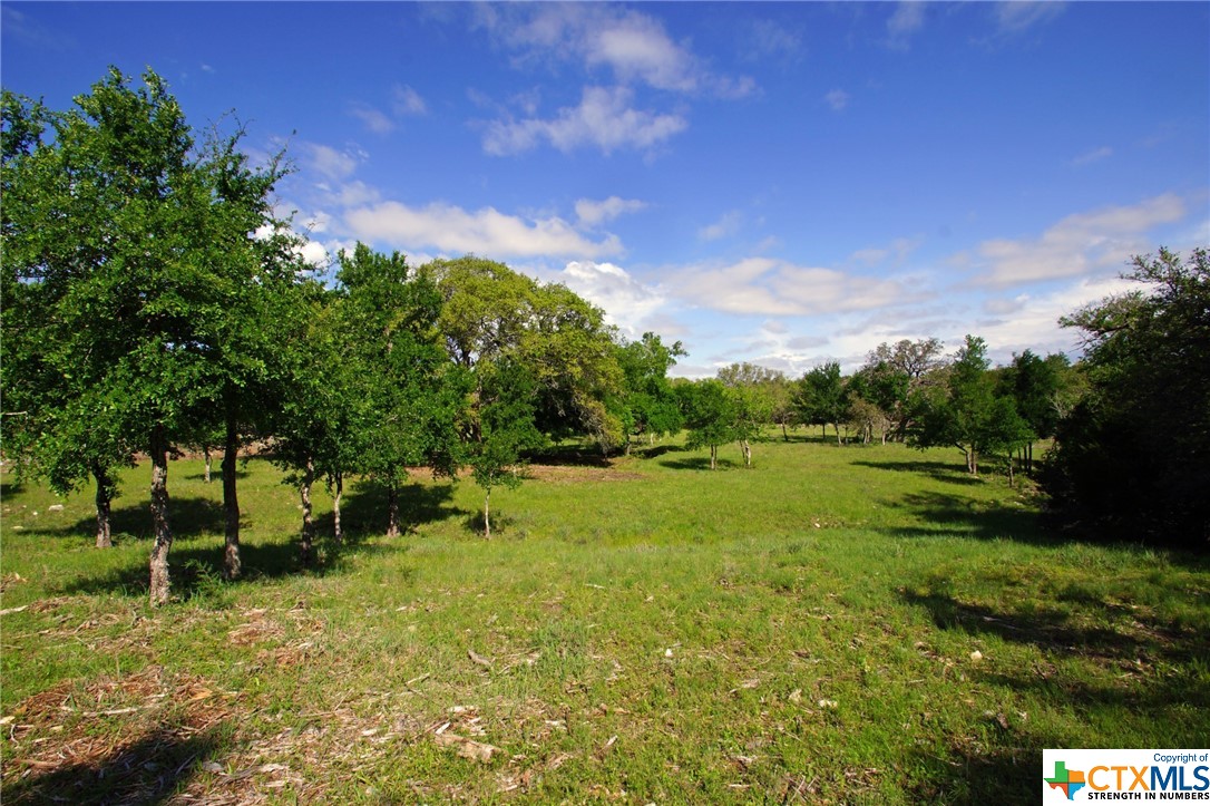 Lot 48 Bridget Court, Briggs, TX 78608 — photo 1