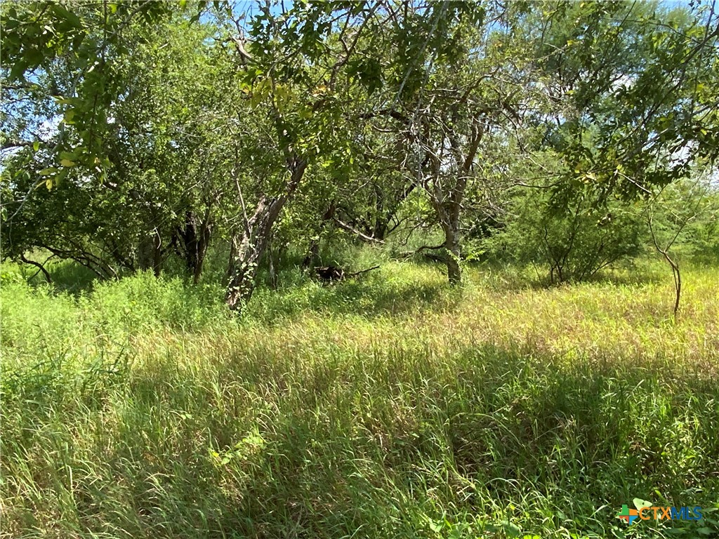 3 CR 1144 3, Sinton, TX 78387 — photo 1