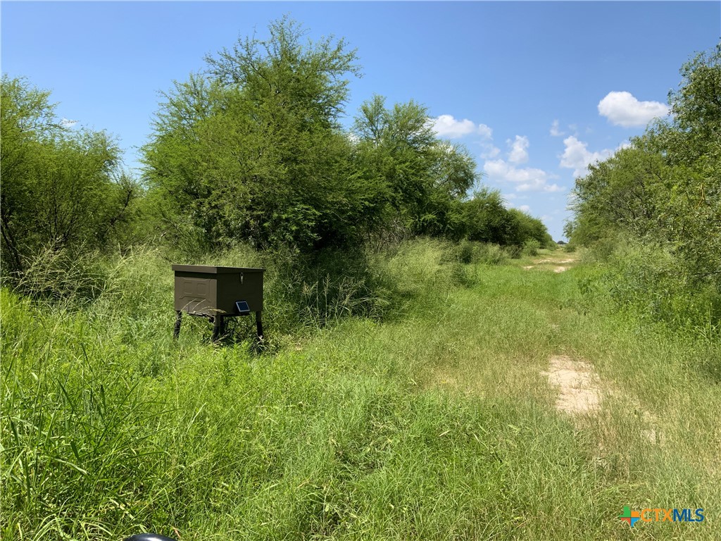TBD County Road 1144
