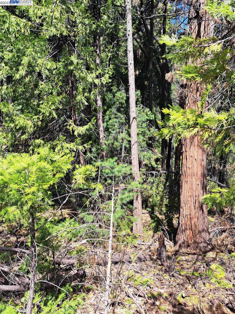 Address withheld, Pollock Pines, CA 95726 — photo 1