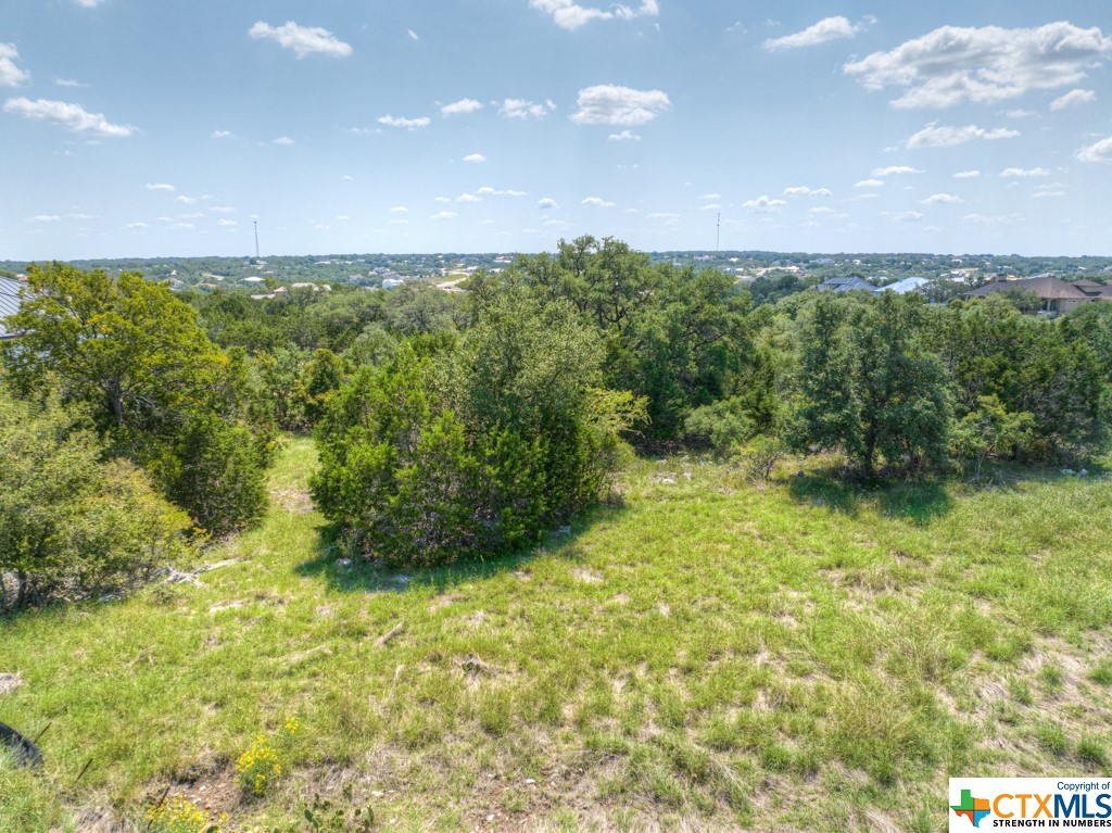 1020 Riesling, New Braunfels, TX 78132 — photo 1