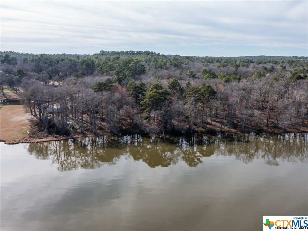 3104 Shadow Pine Drive, LaRue, Other, TX 75770 — photo 1