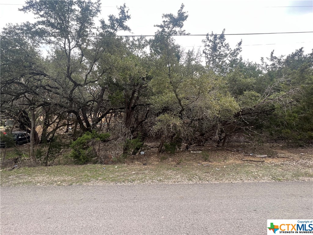 809 Scenic Run, Canyon Lake, TX 78133 — photo 1