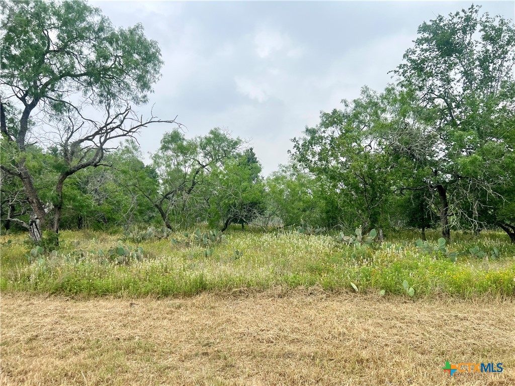 Lot 11 Wisteria Lane, Smiley, TX 78159 — photo 1