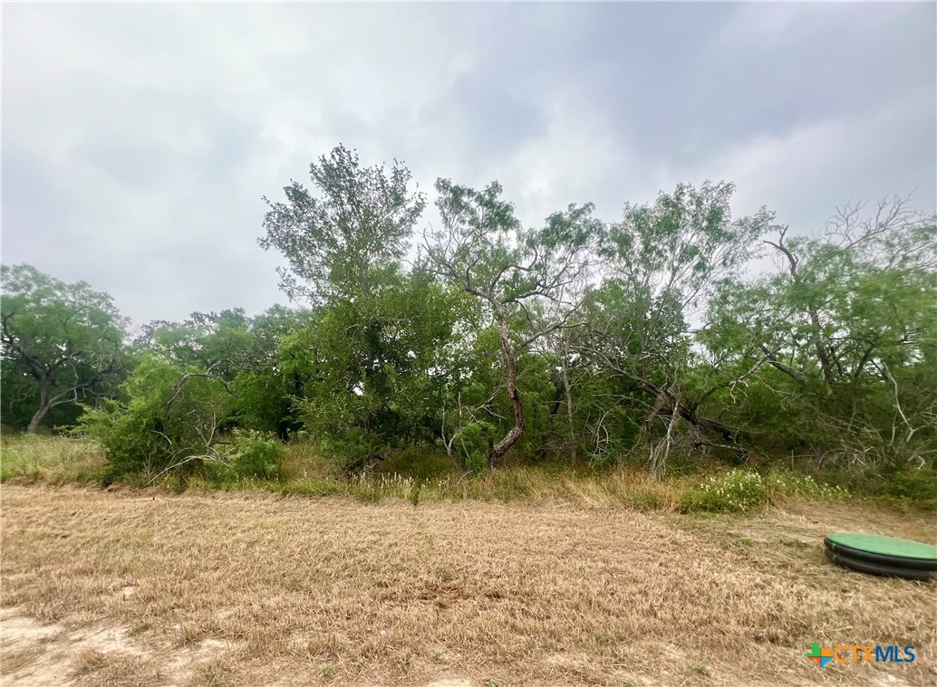 Lot 9 Wisteria Lane, Smiley, TX 78159 — photo 1