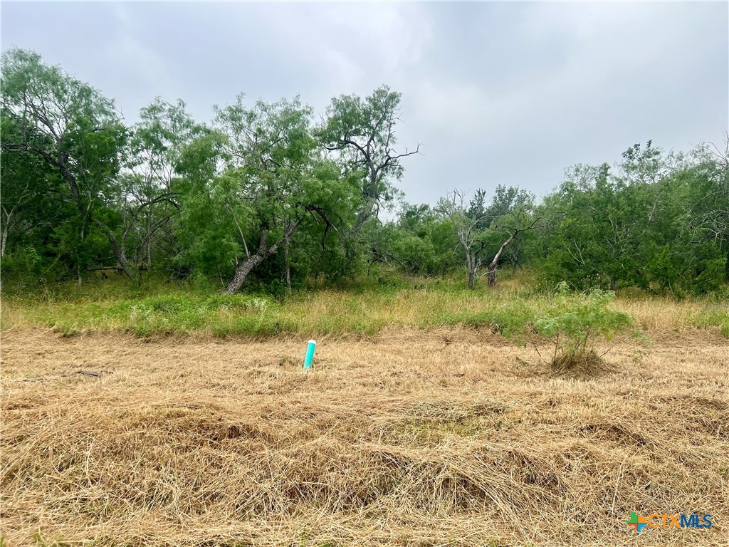 Lot 6 Wisteria Lane, Smiley, TX 78159 — photo 1