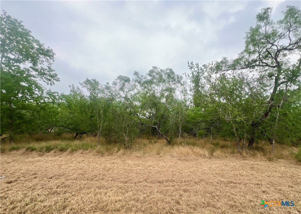 Lot 3 Wisteria Lane, Smiley, TX 78159 — photo 1