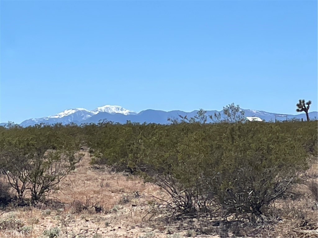 0 Polaris Avenue, Joshua Tree, CA 92252 — photo 1