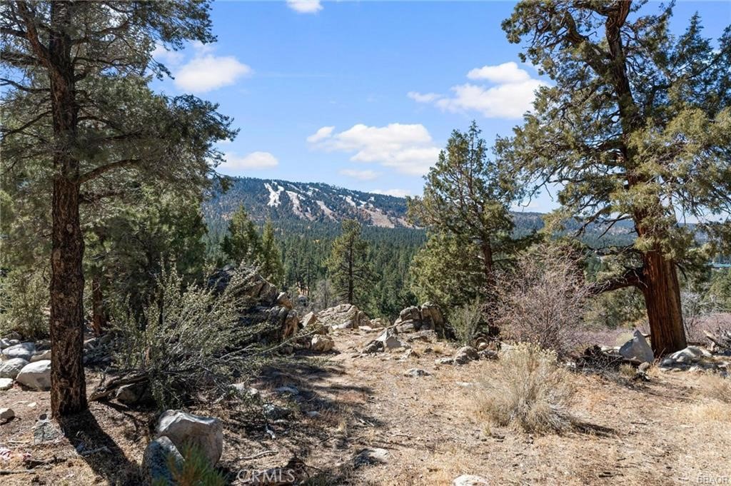 42565 Pegasus Way, Big Bear Lake, CA 92315 — photo 1