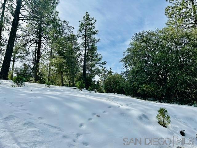 8 Saunders Meadow Rd, Idyllwild, CA 92549 — photo 1