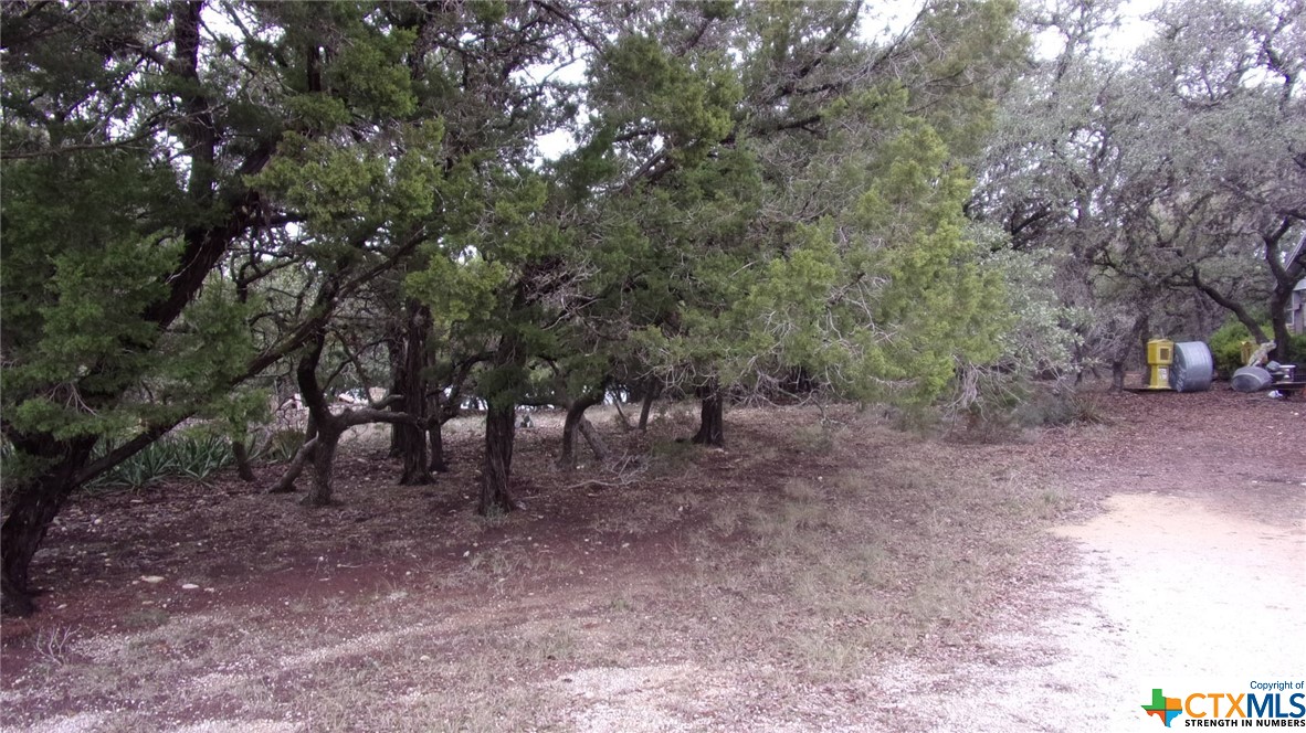 Lot 46 Mountain Wood, Canyon Lake, TX 78133 — photo 1