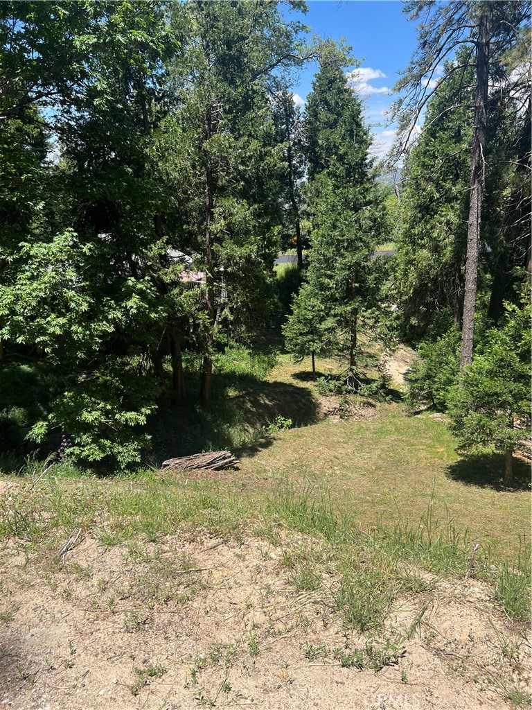 24580 Bernard Drive, Crestline, CA 92325 — photo 1