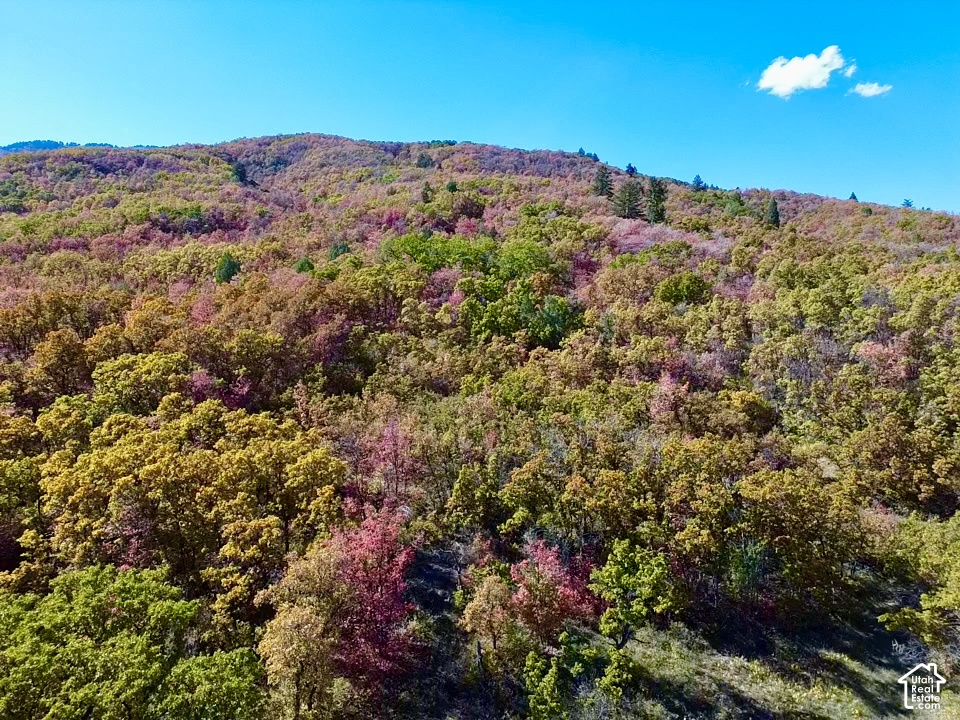 4601 N 2900 E, Liberty, UT 84310 — photo 1
