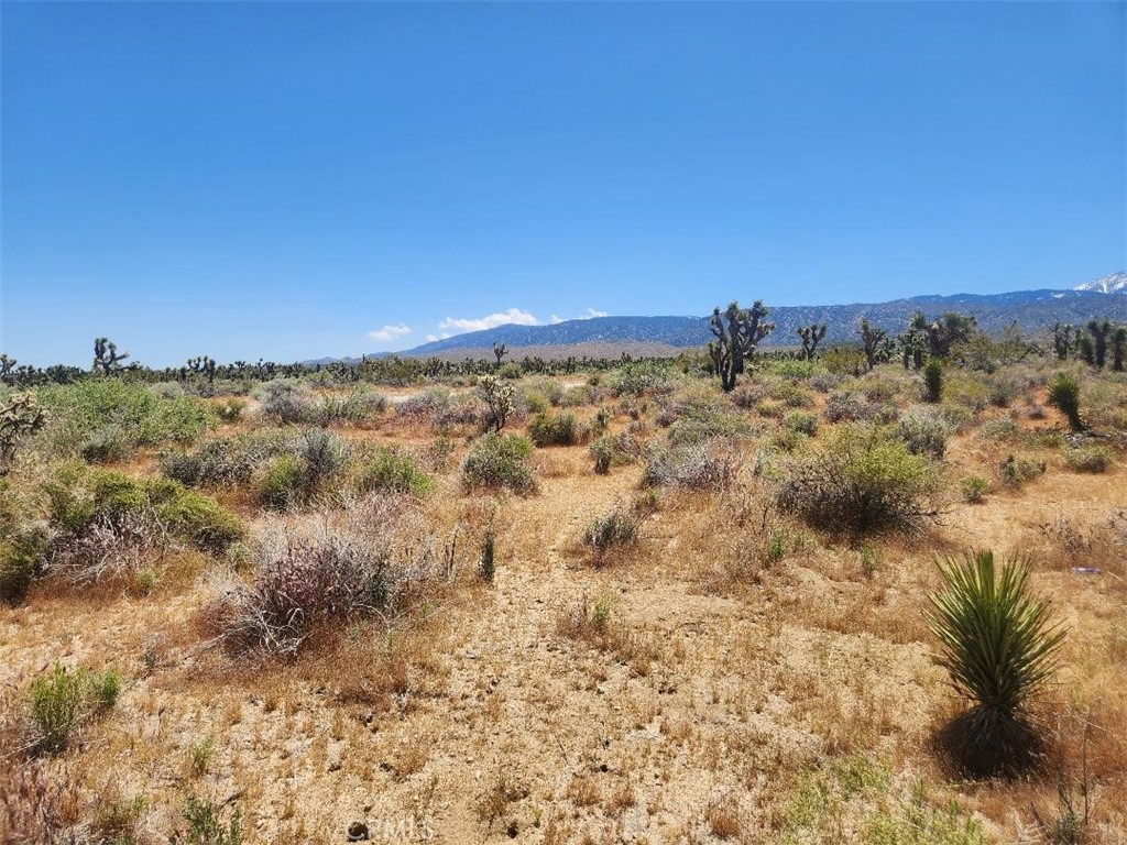 0 Ave X6 212 Street, Llano, CA 93544 — photo 1