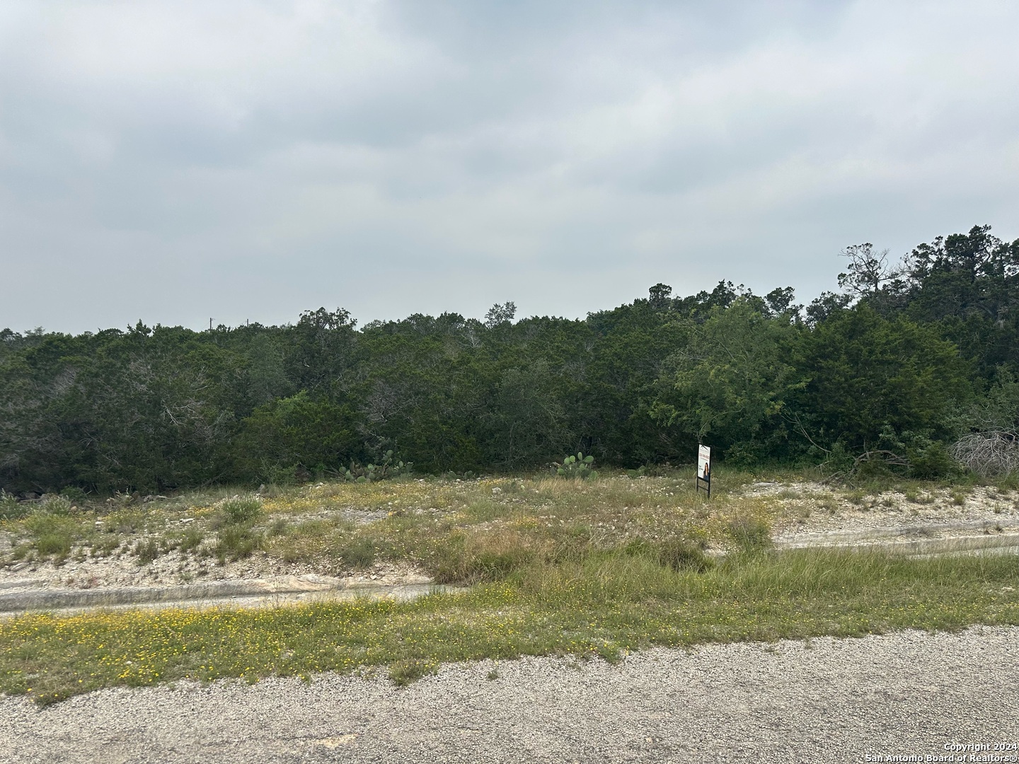223 Freedom St, Fischer, TX 78623 — photo 1