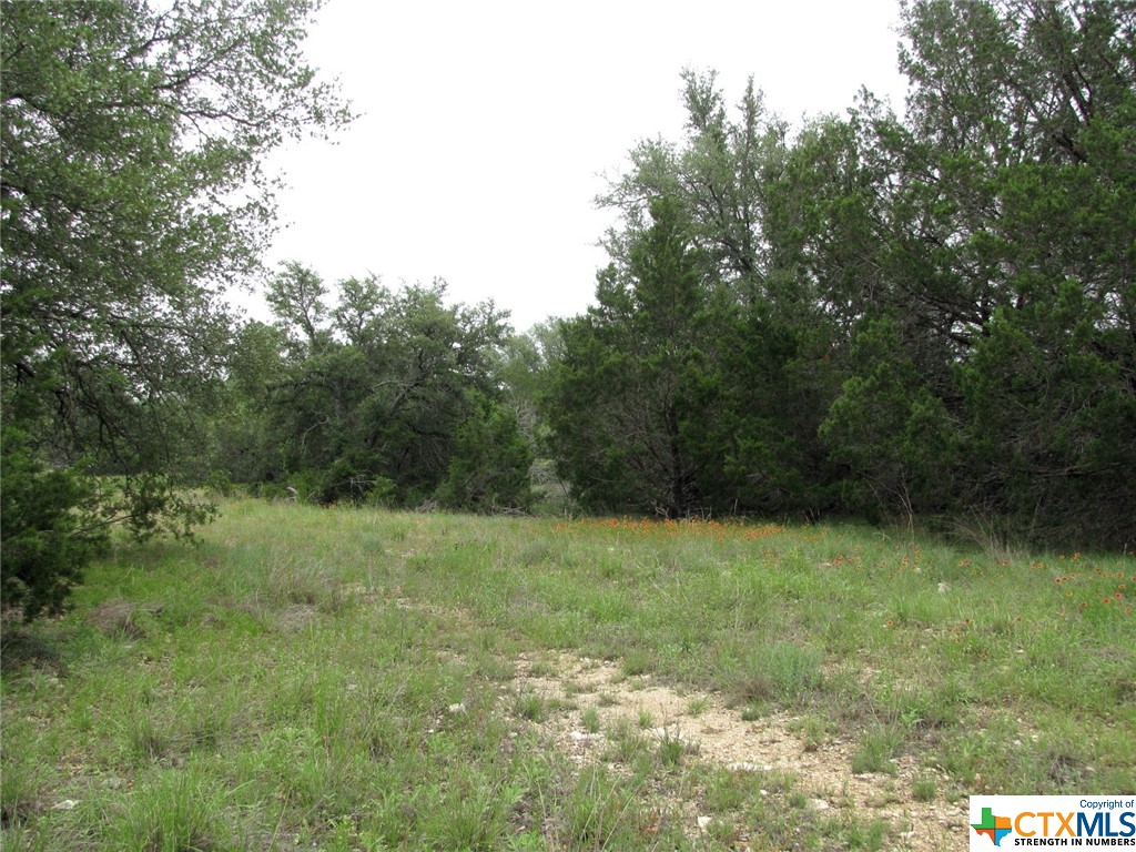 Lot 41 Phase 6 PR42107, Evant, TX 76525 — photo 1