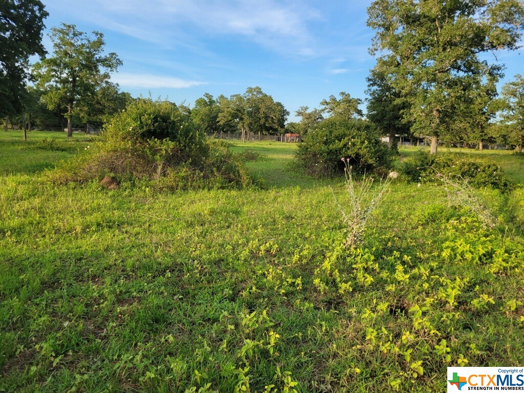 1130 Blacksmith Ln, Weimar, TX 78962 — photo 1
