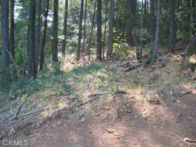 0 He Le Ve Road, Berry Creek, CA 95916 — photo 1