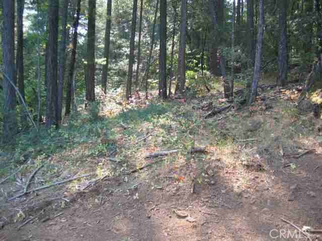 0 He Le Ve Road, Berry Creek, CA 95916 — photo 1