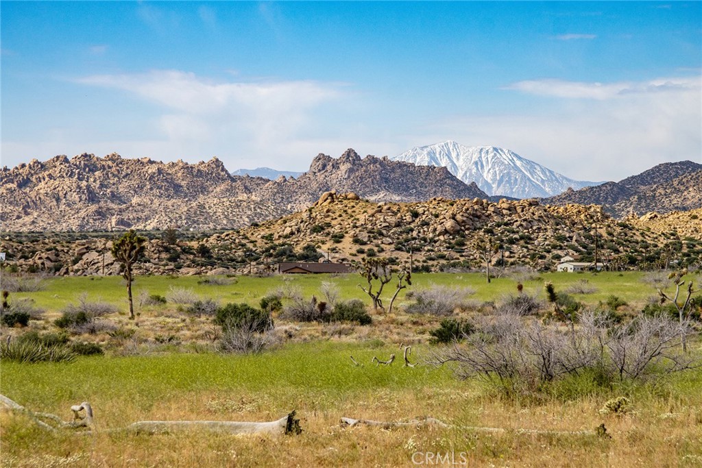 52550 Geronimo Trail, Pioneertown, CA 92268 — photo 1