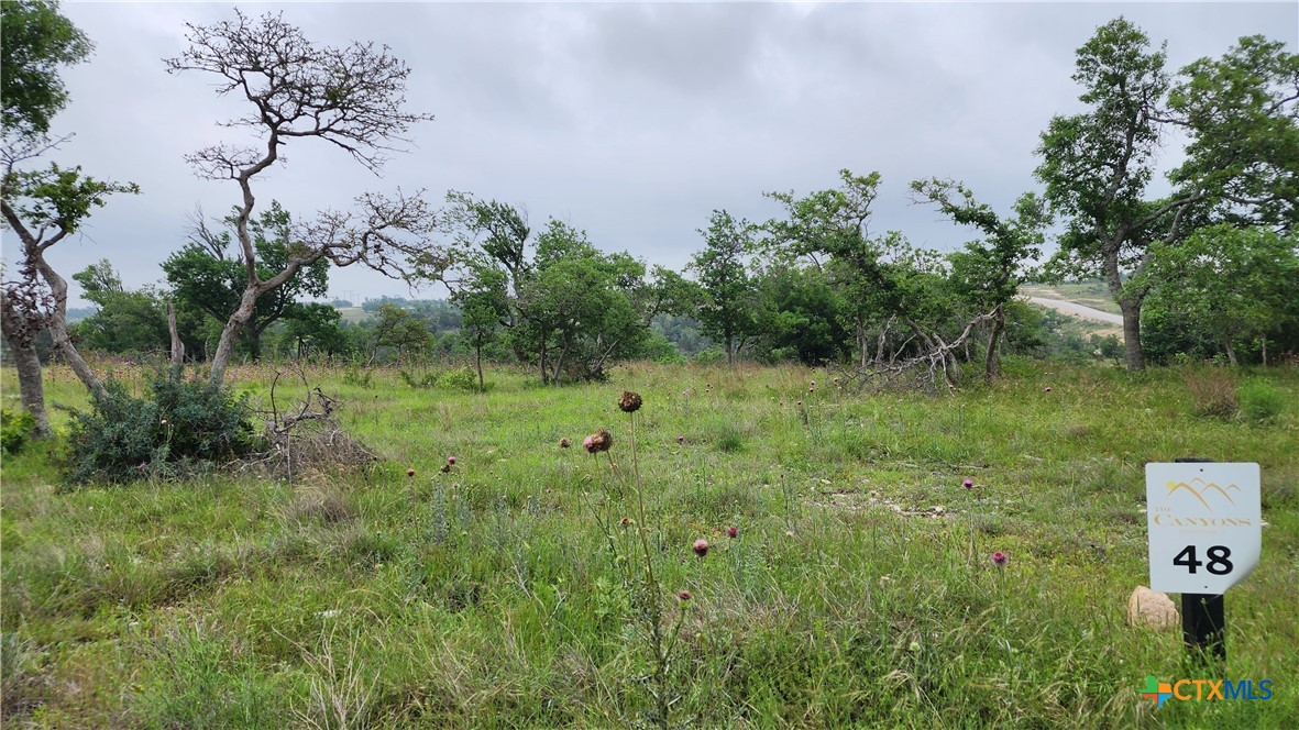 Lot 48 Ridgeline Road, Fredericksburg, TX 78624 — photo 1