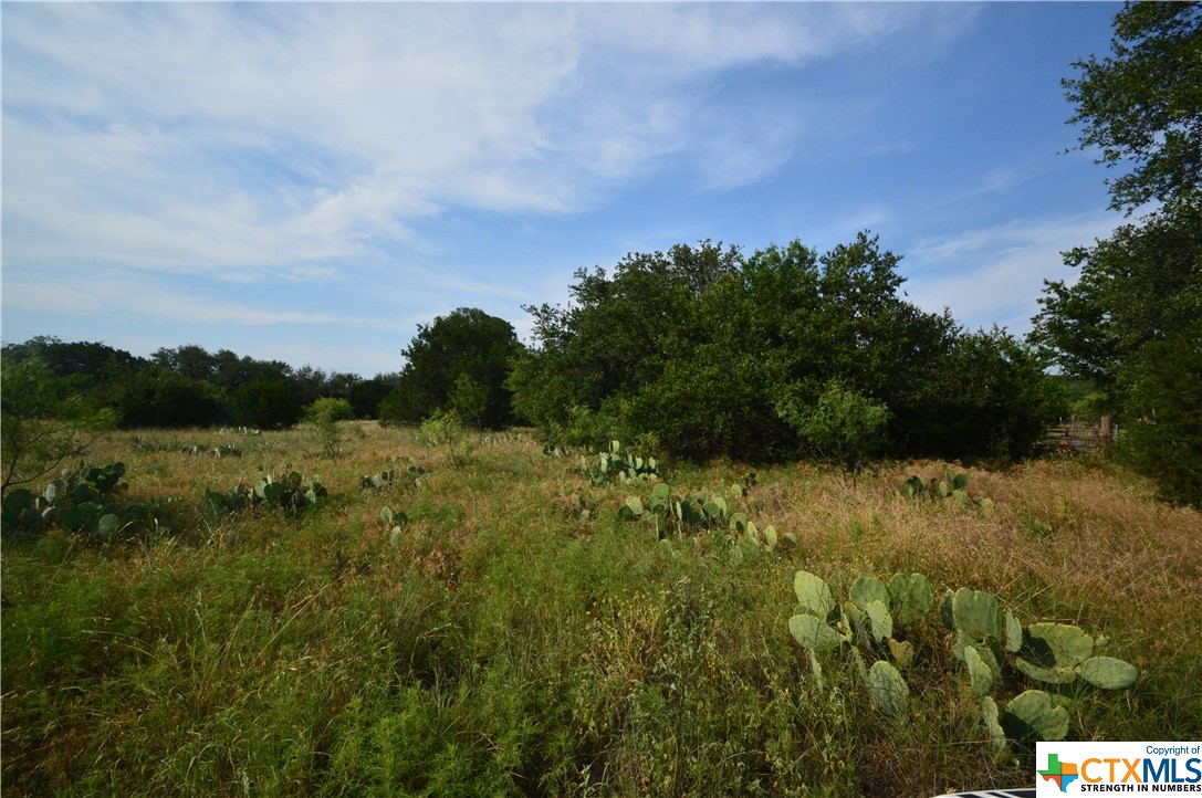 17426 US Highway 183, Lometa, TX 76853 — photo 1