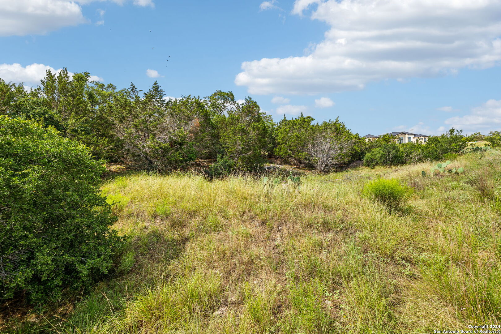 155 Obscure Way, Spring Branch, TX 78070 — photo 1