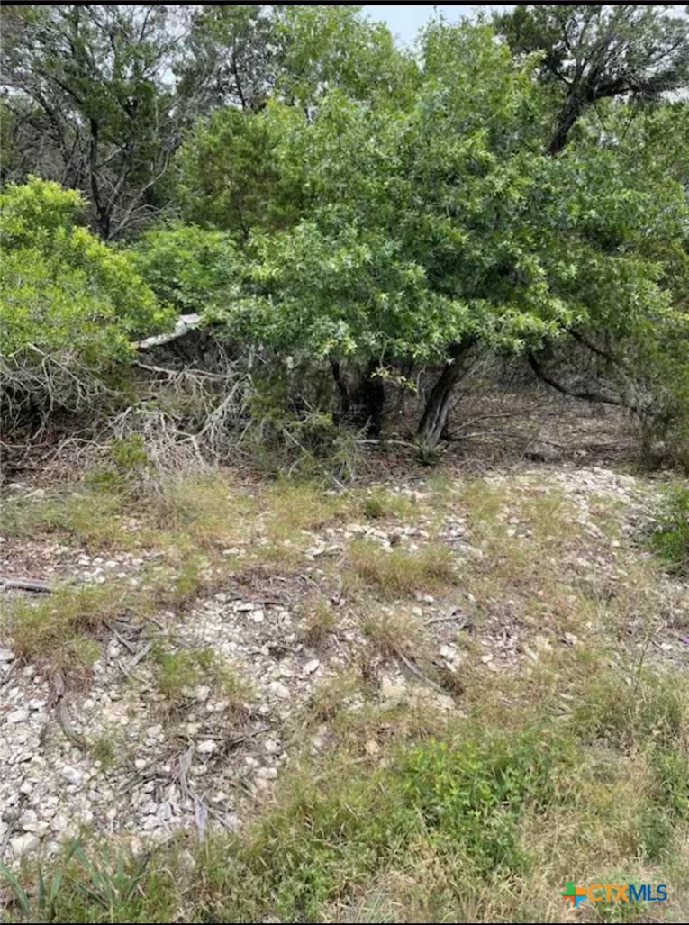 4018 Sherwood Drive, Belton, TX 76513 — photo 1
