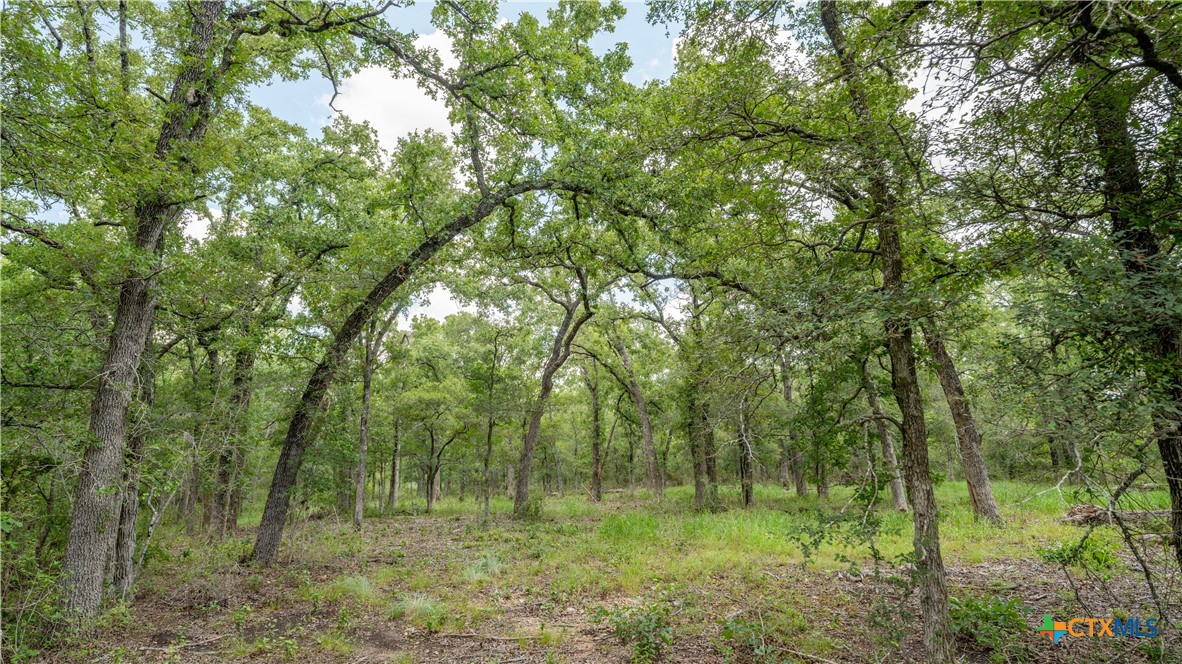 418-C County Road 405, Buckholts, TX 76518 — photo 1