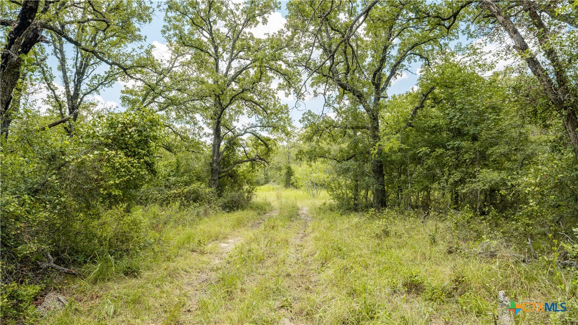 418-b County Road 405, Buckholts, TX 76518 — photo 1